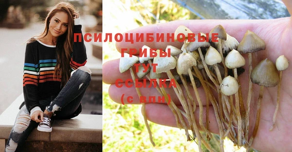 каннабис Верея