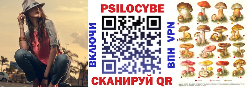 mega ссылки  Дубовка  Псилоцибиновые грибы Psilocybe  как найти наркотики 