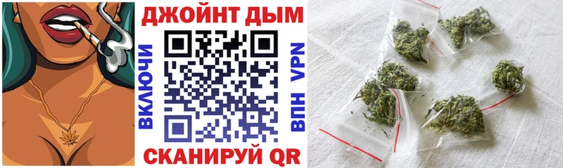 Канабис конопля Дубовка